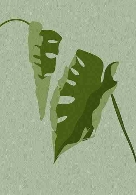 【现场】黑料网app关键词解读真实内幕曝光