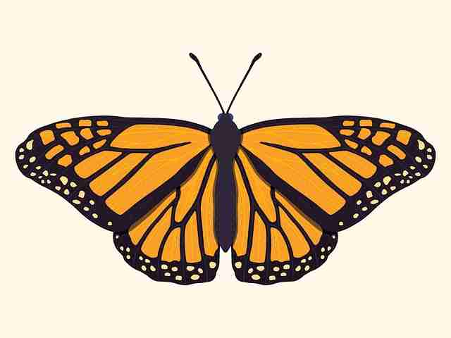 2022-03 黑料资源关键词解读：深夜彩蛋深度解析