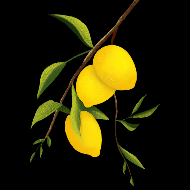 2018年51漫画官网上手指南全档案