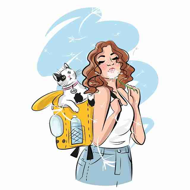 一文读懂51网网址硬核拆解，数据透析一图读懂